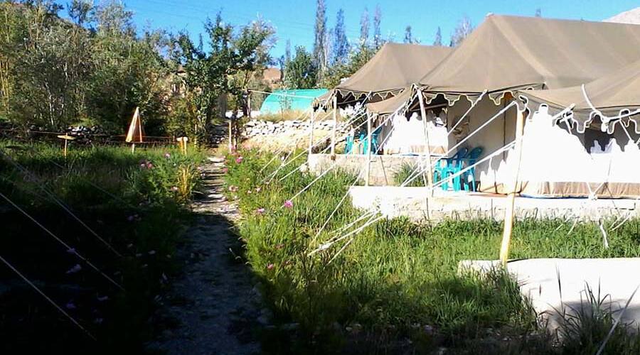 Kargil Tourist Camp, Kargil 3